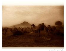 pushkar in sepia mood.jpg